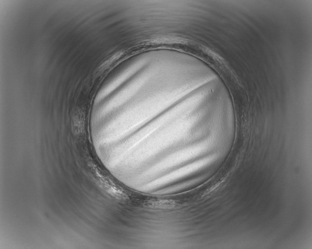 X0000080720833200701021052