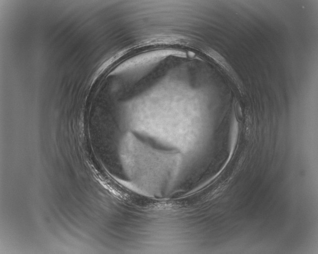 X0000080720834200701021052