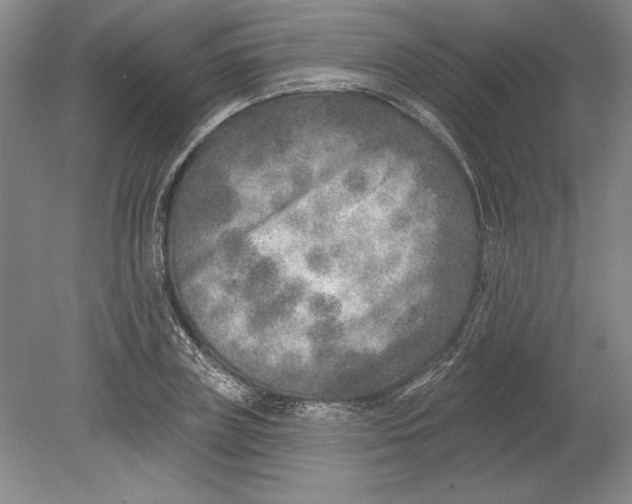 X0000080720835200701021052