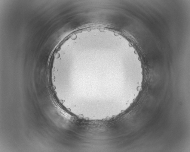 X0000080720836200701021052