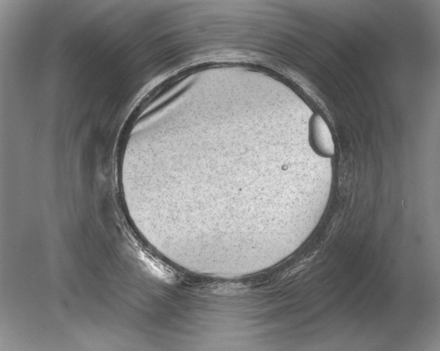 X0000080720837200701021052