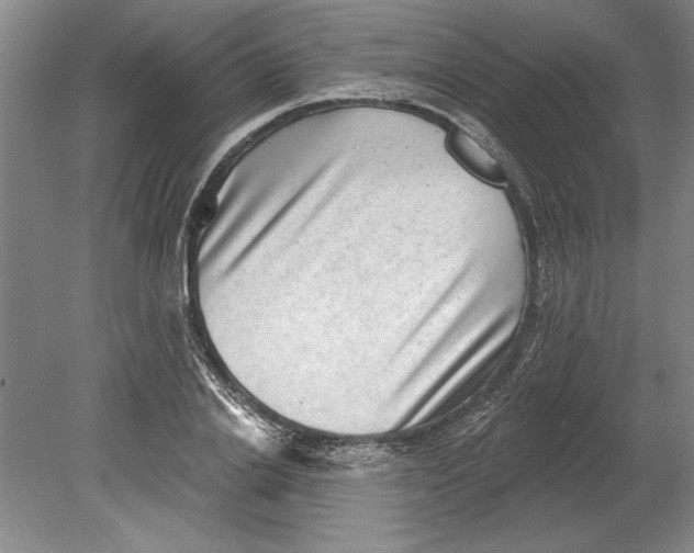 X0000080720838200701021052