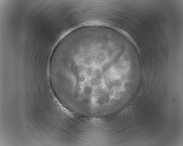 X0000080720839200701021052