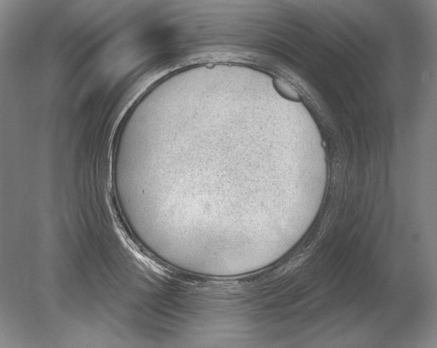 X0000080720844200701021052