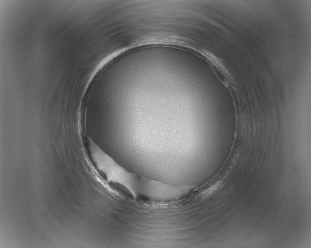 X0000080720846200701021052