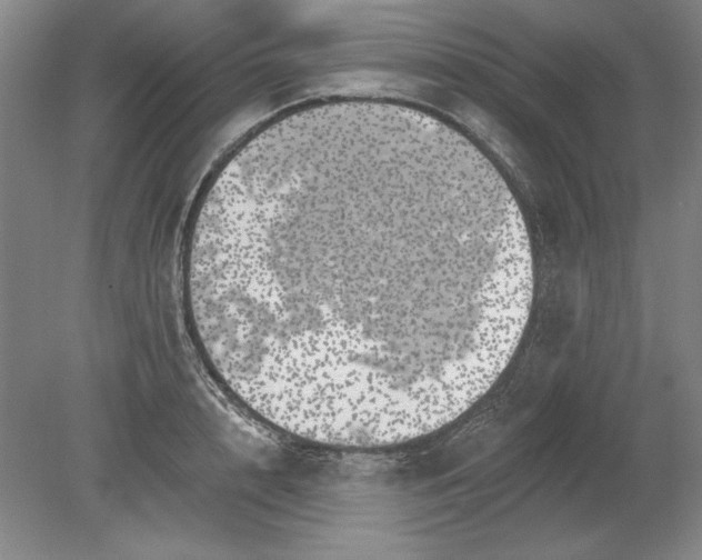 X0000080720848200701021052