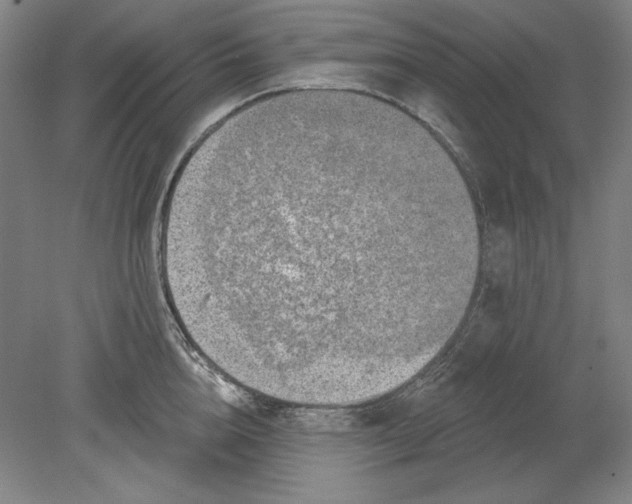 X0000080720856200701021052