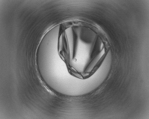 X0000080720858200701021052