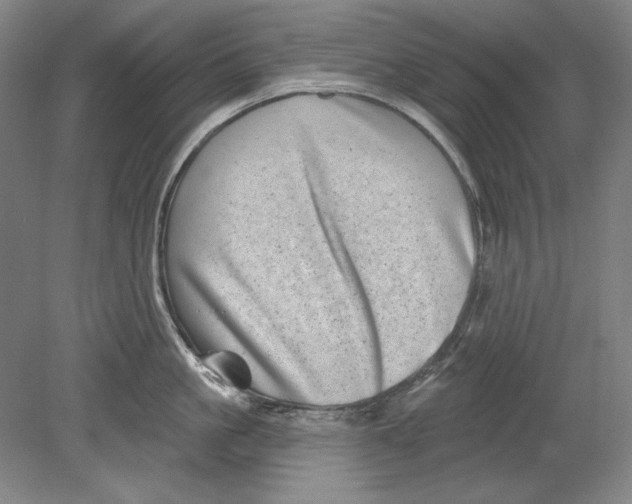 X0000080720861200701021052