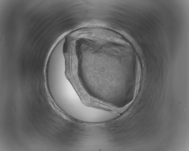 X0000080720864200701021052