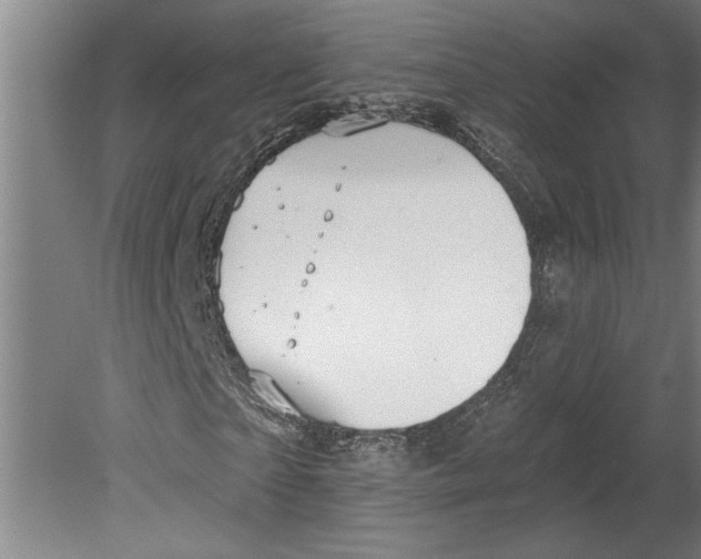 X0000080720865200701021052