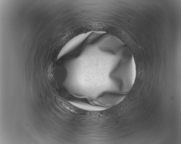 X0000080720866200701021052