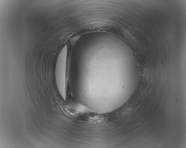 X0000080720868200701021052