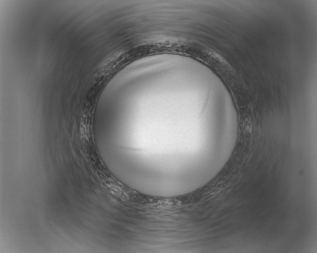 X0000080720869200701021051