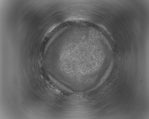 X0000080720871200701021051