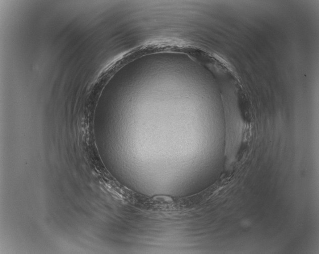 X0000080720872200701021051