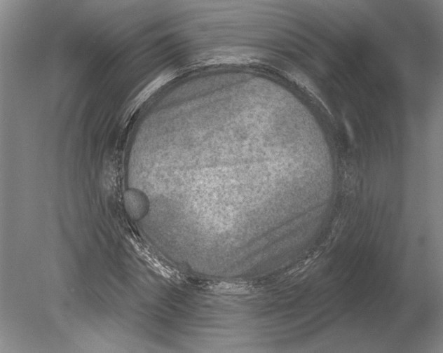 X0000080720874200701021051