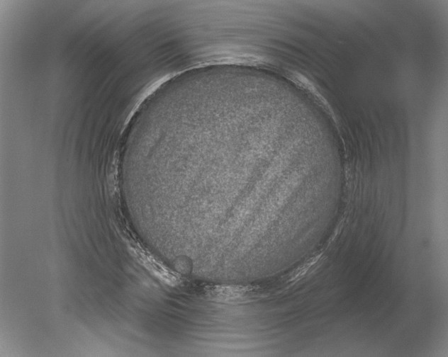 X0000080720875200701021051