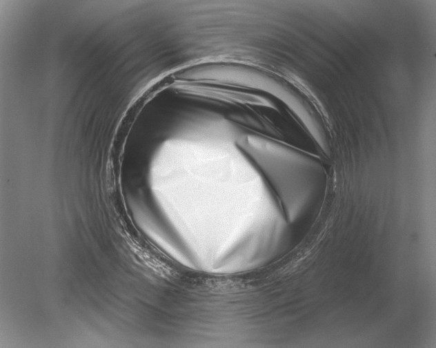 X0000080720876200701021051