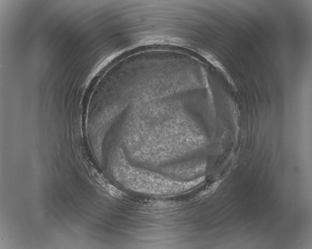 X0000080720877200701021051