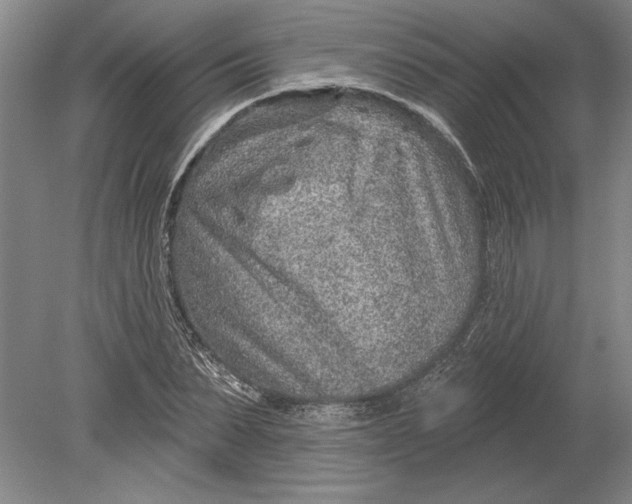 X0000080720879200701021051