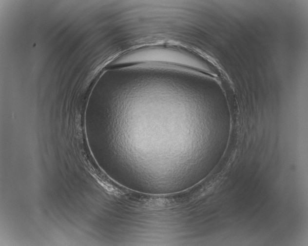 X0000080720881200701021051