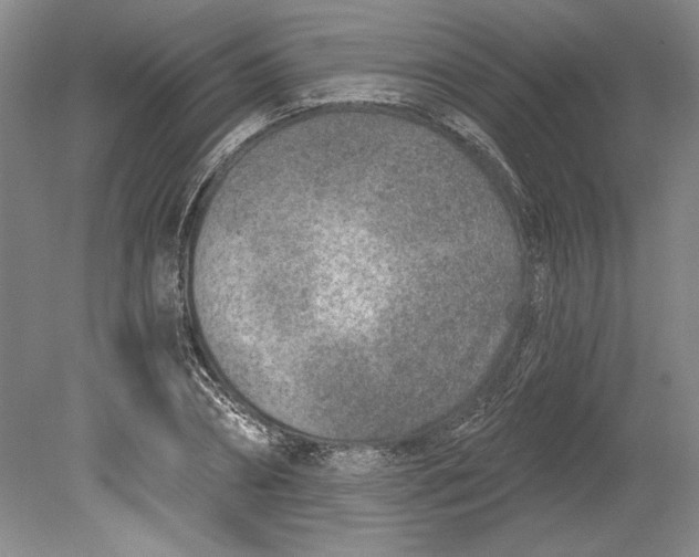 X0000080720882200701021051