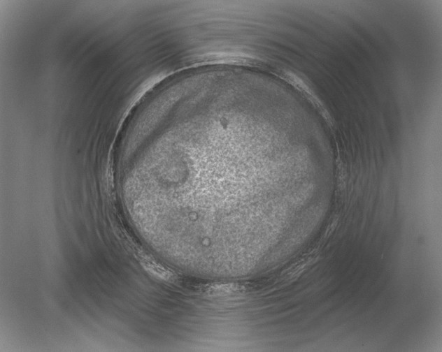 X0000080720883200701021051