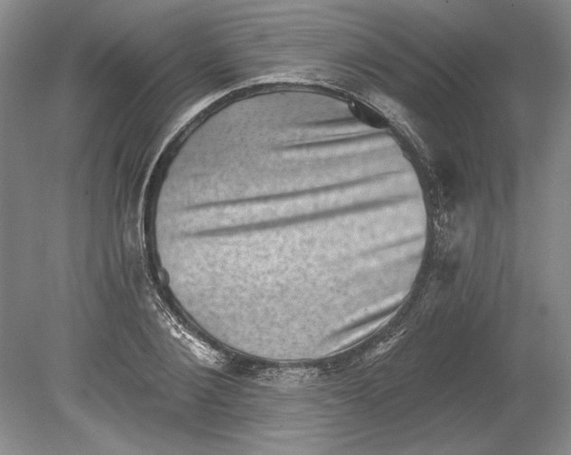 X0000080720884200701021051