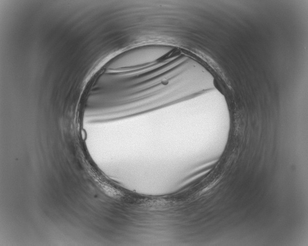 X0000080720885200701021051