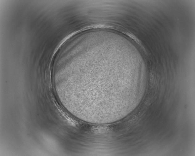 X0000080720886200701021051