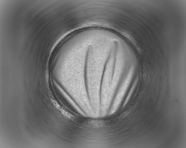 X0000080720888200701021051