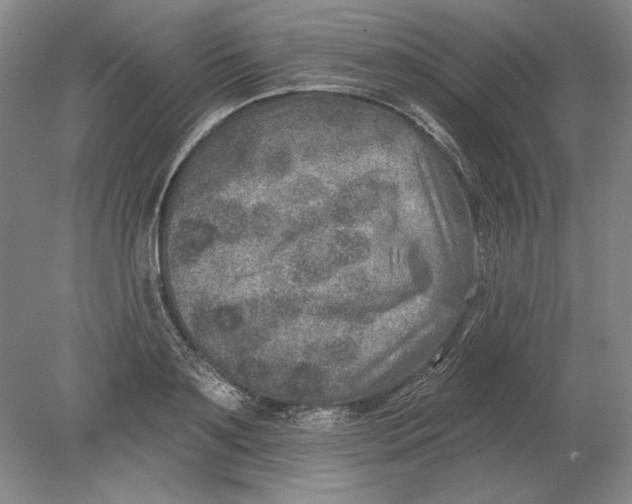 X0000080720891200701021051