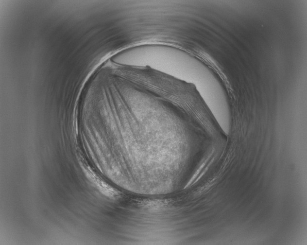 X0000080720892200701021051