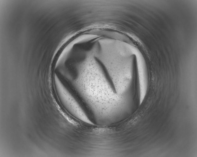 X0000080720894200701021051