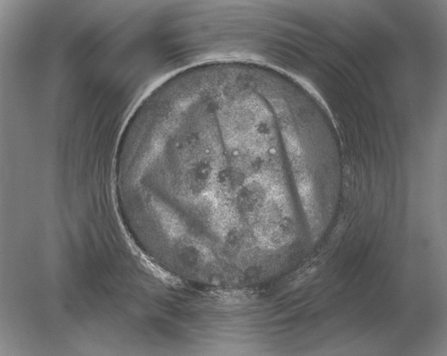 X0000080720895200701021051