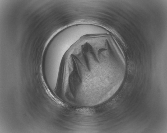 X0000080720896200701021051