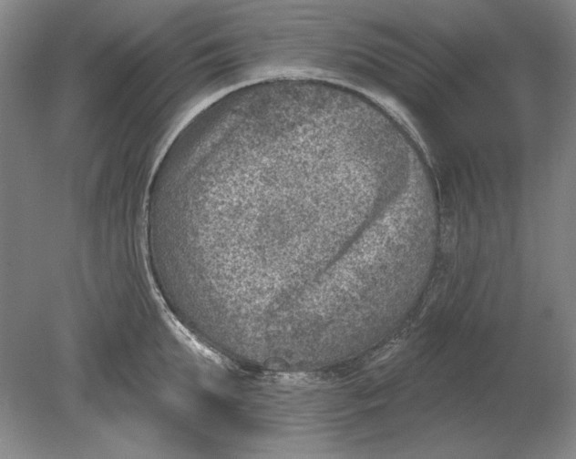 X0000080720903200701021051