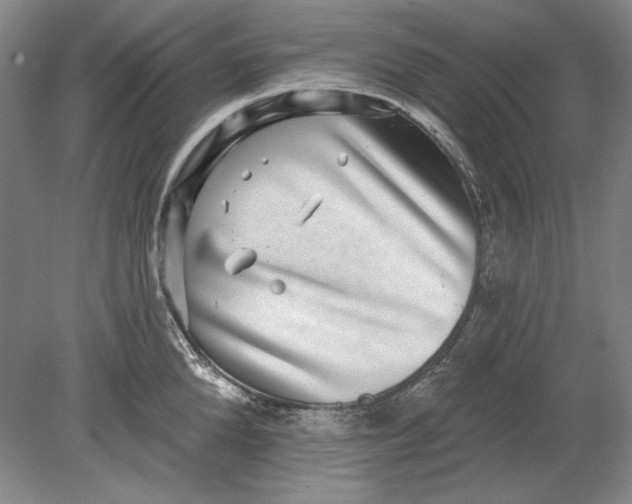 X0000080720904200701021051