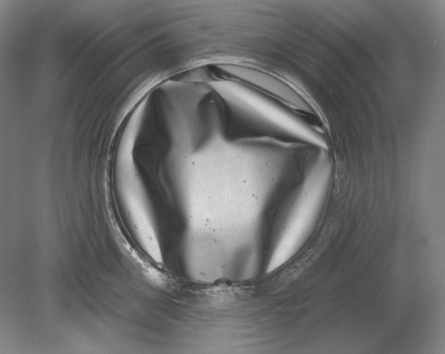 X0000080720906200701021051