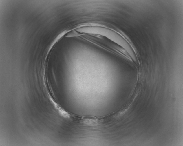 X0000080720909200701021051