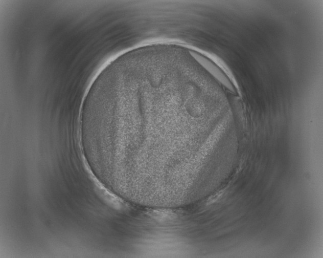 X0000080720911200701021051