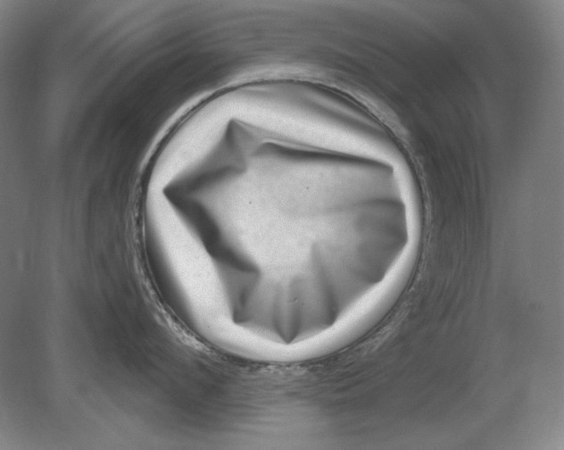 X0000080720912200701021051