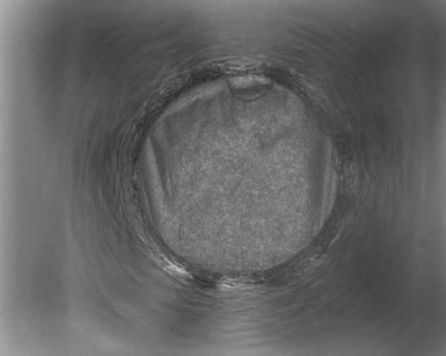 X0000080720913200701021050