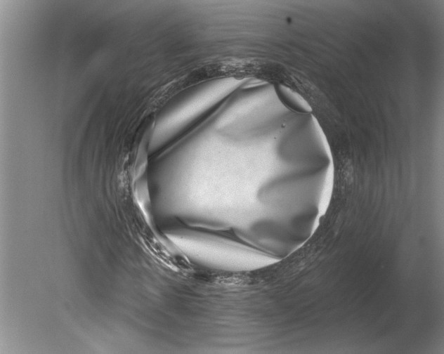 X0000080720914200701021050