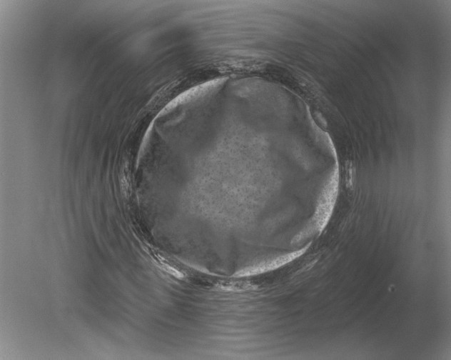 X0000080720915200701021050