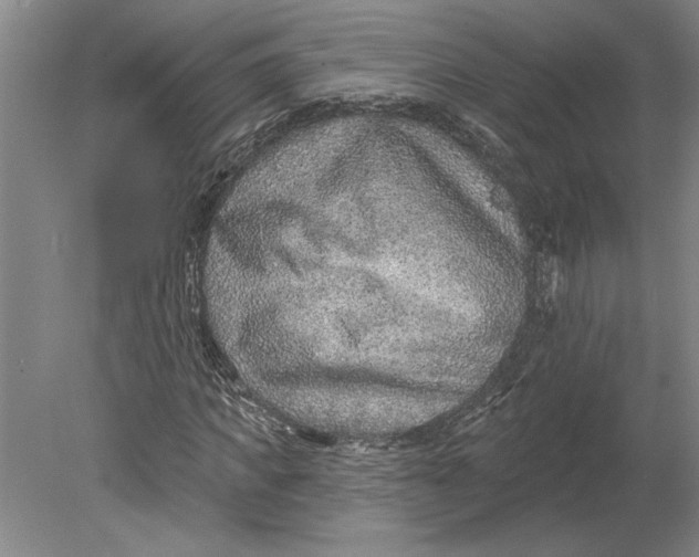 X0000080720917200701021050