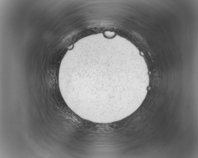 X0000080720918200701021050