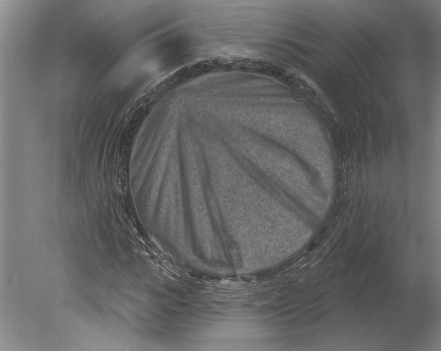 X0000080720919200701021050