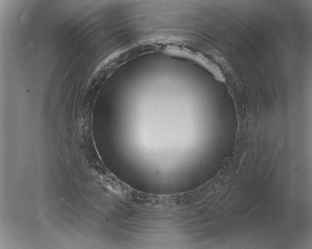 X0000080720920200701021050